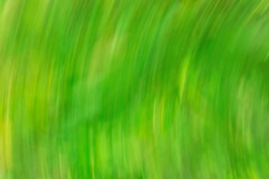 Yeşil soyut arka plan. Hedef dışı yeşil trend.