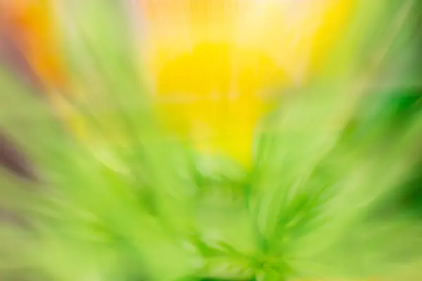Blurred hello summer background illuminated with daylight. Abstract natural background and sun flares