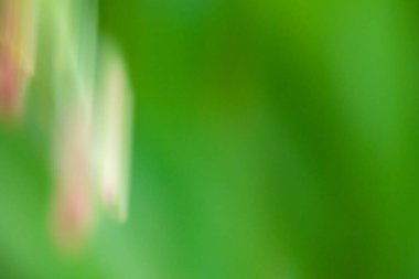 Yeşil soyut arka plan. Hedef dışı yeşil trend.