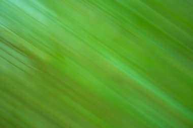 Yeşil odaklanmış dinamik soyut arkaplan. Uzun süreli hareket bulanıklığı