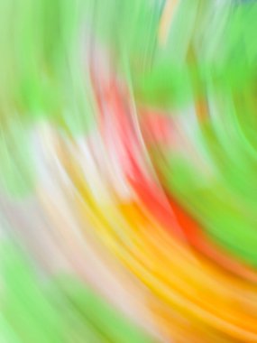 Çayırdaki yabani çiçek bulanık arka planda. Çiçeklerin bulanık görüntüsü