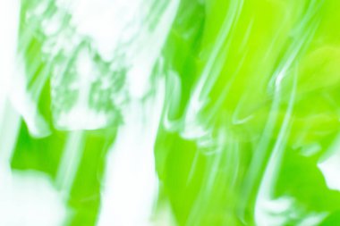 Nature green organic eco product blurry background. Ecology nature concept.