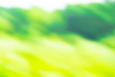 Bulanık yeşil arka planda yeşil yaprak. Bulanık doğa yeşil park