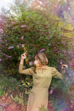  Buddleia çiçek tarlasında basit bir elbise giymiş kız ya da kelebek çalısı. Buddleia çiçek tarlasında bir kızın portresi.