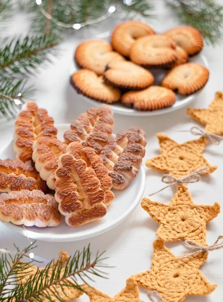 Festive Christmas Cookies Plate Star Garland Anf Fir Tree Branches — Stock Photo, Image