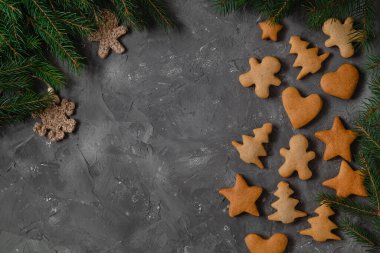 Noel kompozisyonu ev yapımı zencefilli kurabiyeler ve gri arka planda köknar ağacı dalları. Noel ağacı şeklinde kurabiye, insan, yıldız ve kalp..