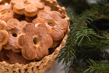 Noel kurabiyeleri hasır sepetin içinde ve Noel ağacının dallarında kapanıyor. Çiçek biçimli kurabiye..