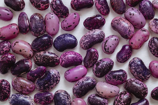 Purple blue scarlet runner beans close up on a white bacckground. Top view.