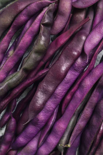 Freshly picked purple bean pods Blauhilde close up. Top view.