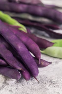 Taze toplanmış mor fasulyeler Blauhilde, yakından çek..