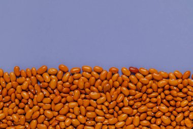 Mor arka planda sarı fasulye. Phaseolus vulgaris. Üst Manzara. Boşluğu kopyala.