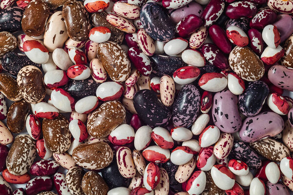 The collection of different beans ( scarlet runner, anasazi, kidney, pinto, jacobs cattle bean). Top view. Food background.