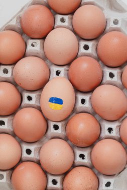 Paskalya için tavuk yumurtası tepsisi. Ukrayna bayraklı tavuk yumurtası. Ukrayna 2022 'de savaş yok..