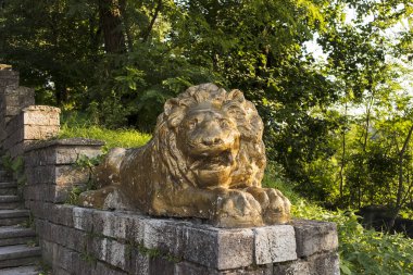 Kamianets-Podilskyi, Ukrayna. Altın aslan heykeli, canlı yeşillikler arasında taş duvarda uzanır. Huzurlu ortamda işçilik ve tarihsel bağlam vurgulanır.
