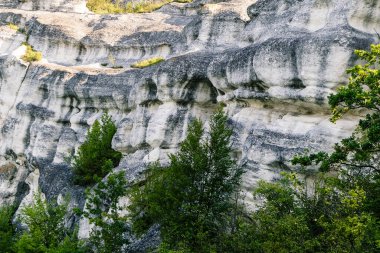 Bakota Körfezi, Dinyester Nehri, Ukrayna. Sersemletici kaya oluşumları canlı yapraklar üzerinde kule, sakin doğal bir ortamda eşsiz dokuları ve renkleri vurguluyor