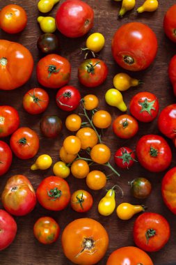 Ahşap zemin üzerinde farklı domates çeşitleri olan kompozisyon. Kırmızı ve sarı arka plan. Yemek arkaplanı. Üst görünüm.