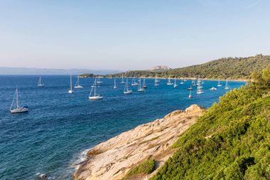 Scenic view of Porquerolles island in south of France in summer daylight clipart