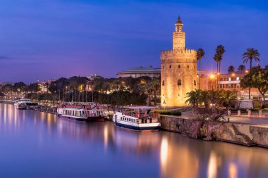 Scenic view of Seville by night clipart