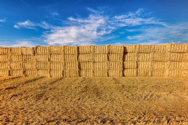 Scenic view of hay bales on harvested wheat field in Provence against dramatic blue sky in summer