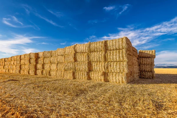 Scenic View Hay Bales Harvested Wheat Field Provence Dramatic Blue — Stock Photo, Image