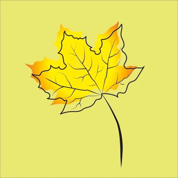 Folha Maple Uma Imagem Colorida Uma Planta Fundo Colorido Ilustração — Vetor de Stock