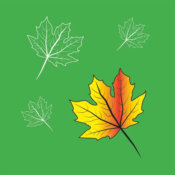 Φύλλα Σφενδάμου Εικόνα Των Φυτών Έγχρωμο Φόντο Εικονογράφηση Διάνυσμα300 Dpi — Διανυσματικό Αρχείο