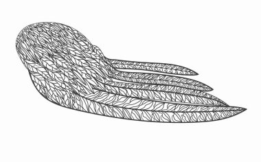 Melek kanadı. Beyaz bir arkaplanda özet çizimi. Vektör illüstrasyonu. 300 dpi.