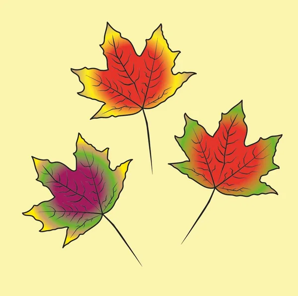 Ahornbladeren Kleurrijke Afbeelding Van Planten Een Gekleurde Achtergrond Vector Illustratie — Stockvector