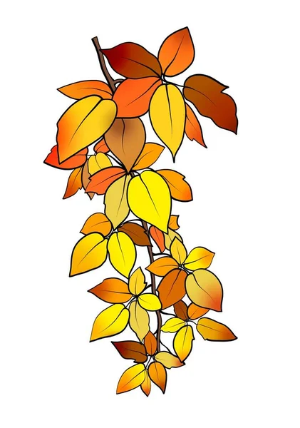 Tak Met Bladeren Kleur Illustratie Van Een Plant — Stockfoto