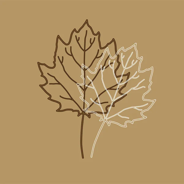 秋天的叶子 植物的花纹图解 — 图库矢量图片