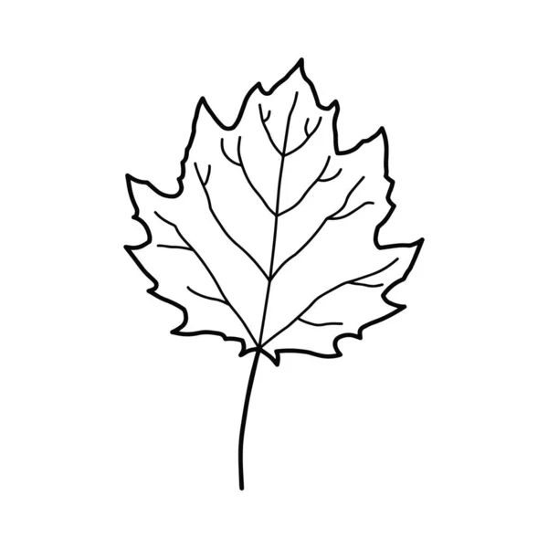 Feuille Automne Illustration Stylisée Une Plante — Image vectorielle
