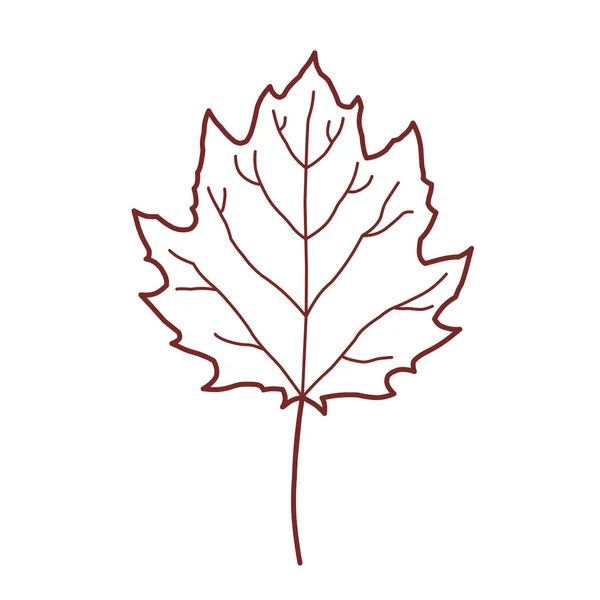 Jesienny Liść Stylizowana Ilustracja Rośliny — Zdjęcie stockowe