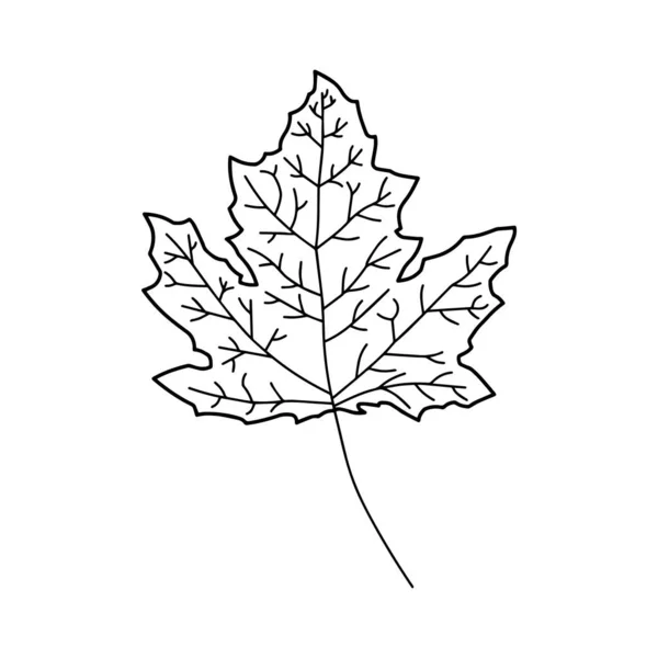 Feuille Automne Illustration Stylisée Une Plante — Image vectorielle