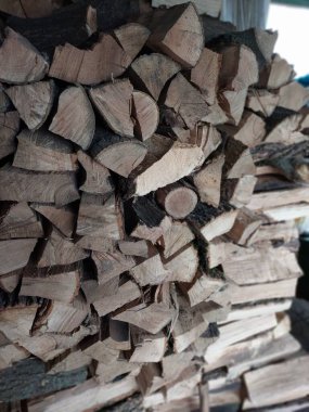 Kütükler. Kuru bir ağacın renkli fotoğrafı. Arkaplan.