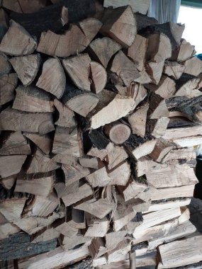 Kütükler. Kuru bir ağacın renkli fotoğrafı. Arkaplan.