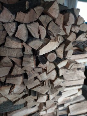 Kütükler. Kuru bir ağacın renkli fotoğrafı. Arkaplan.