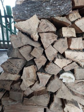 Kütükler. Kuru bir ağacın renkli fotoğrafı. Arkaplan.