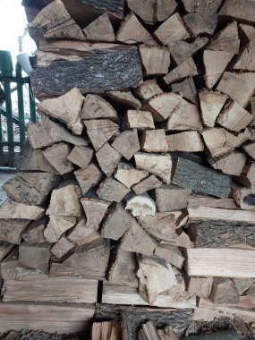 Kütükler. Kuru bir ağacın renkli fotoğrafı. Arkaplan.