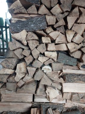 Kütükler. Kuru bir ağacın renkli fotoğrafı. Arkaplan.