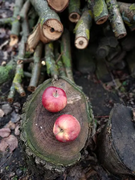 Bahçede elmalar. Meyvelerin renkli fotoğrafı.