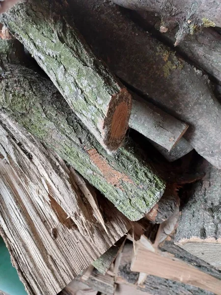 Logs 나무의 — 스톡 사진