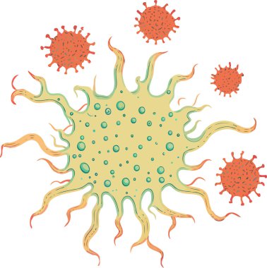 Vector illustration artist rendering of a microscopic rotavirus organism