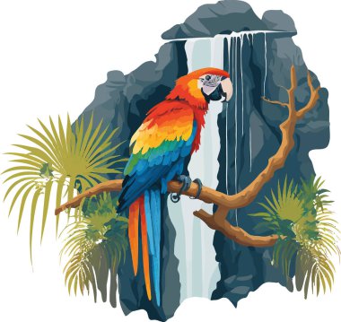 Vector illustration of macaw perched on a branch with a waterfall in the background