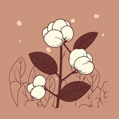 Cotton cultivation in agricultural production farm plant already giving cotton