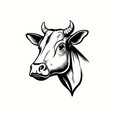 Minimalist lineart style symbol with cow animal head for logo or illustrating livestock farming themes