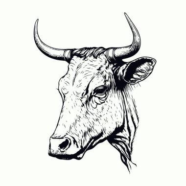 Minimalist lineart style symbol with cow animal head for logo or illustrating livestock farming themes