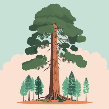 Illustration of an adult giant sequoia tree in a redwood forest