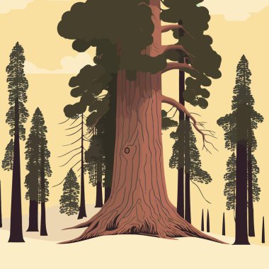 Illustration of an adult giant sequoia tree in a redwood forest