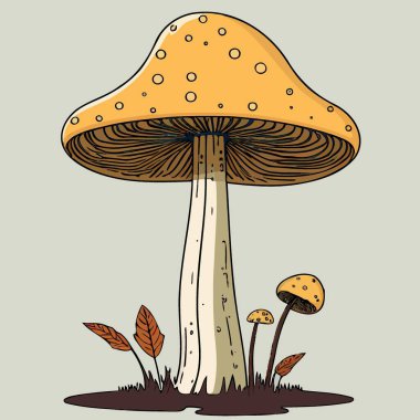 Colorful vector illustration of mushroom fungus living being
