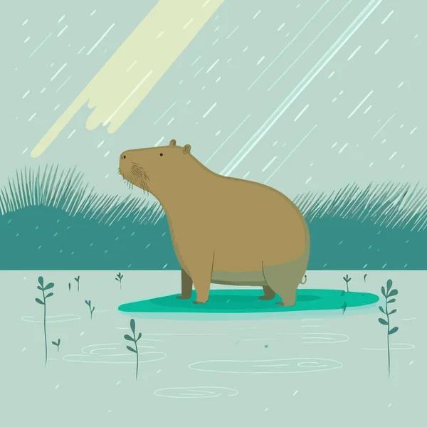 Cute Capybara Animal Water River Rain — Vetor de Stock